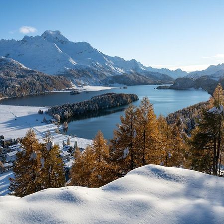 Hotel Cristallina Sils Maria Exterior photo